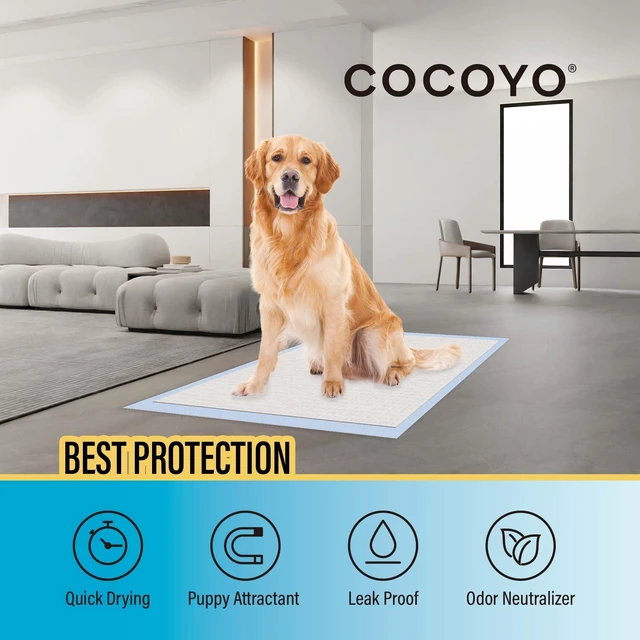 Alt view image 6 of 6 - COCOYO Training Pads 30 Count Super Absorbent Dog Pee Pads
