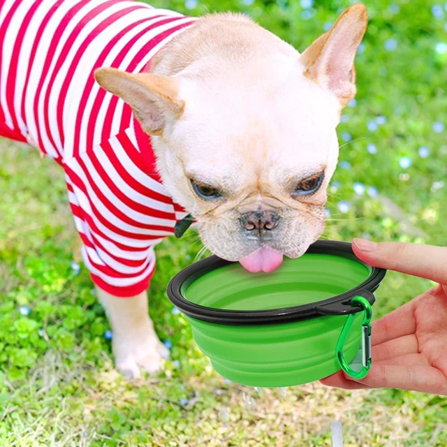 Alt view image 6 of 6 - Collapsible Dog Bowls 2 Pack, Portable Pet Feeding Watering Dish for Walking, Parking, Traveling with 2 Carabiners, Small, Blue+Green