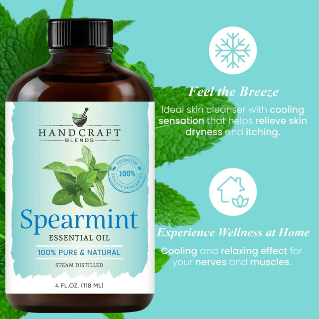Alt view image 4 of 7 - Handcraft Blends Spearmint Essential Oil Huge 4FLOZ