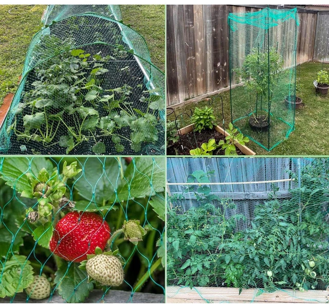 Alt view image 5 of 7 - Bird Netting 13.3x16.6ft for Garden, Chicken Coop, Deer, Squirrel, Poultry Protection, Fruit Trees, Vegetables