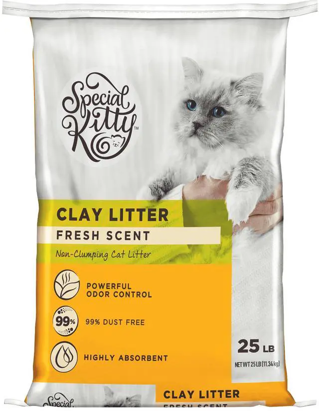 Main image of Special Kitty Fresh Scent Non-Clumping Clay Cat Litter, 25 lb Bag, 1 Count
