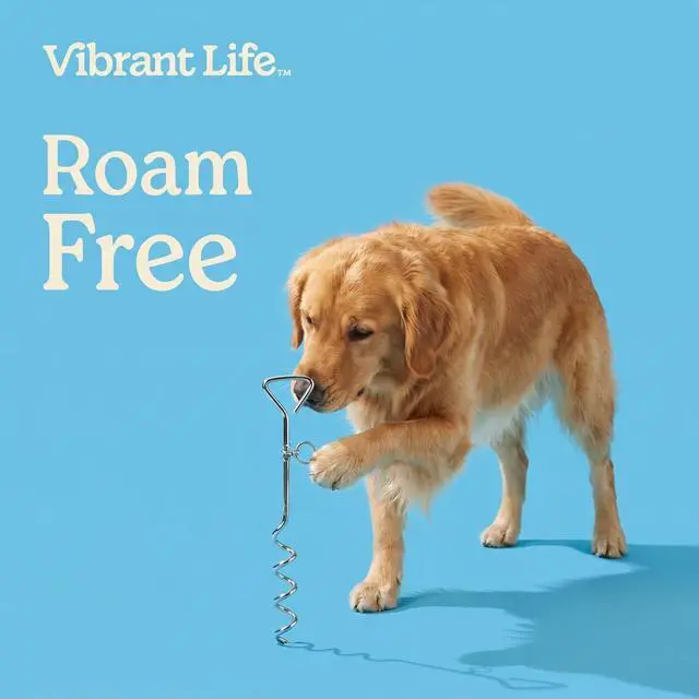 Alt view image 3 of 6 - Vibrant Life Medium Spiral Steel Stake for Dogs, 18"