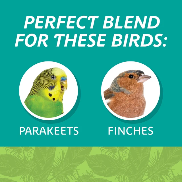 Alt view image 6 of 6 - Pennington Small Breed Everyday Blend Dry Bird Food for Parakeets, Canaries and Finches, 3lb Bag