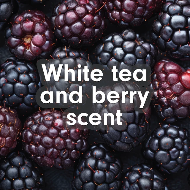 Alt view image 5 of 6 - Softsoap Antibacterial Liquid Hand Soap, 50fl oz, White Tea and Berry Scent, New Easy Pour Spout