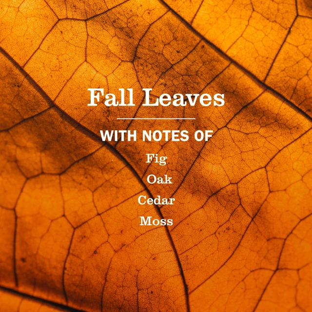 Alt view image 4 of 6 - Mrs. Meyer's Clean Day Hand Soap, Fall Leaves Scent, 12.5 fl oz