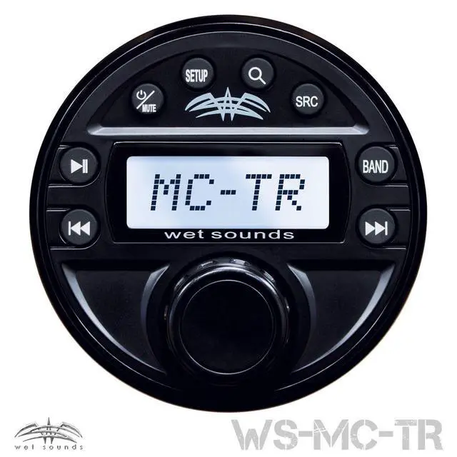 Alt view image 2 of 4 - Transom Remote with single line LCD display