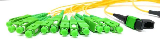 Alt view image 3 of 4 - Singlemode MPO Female APC to 12 x SC-APC Simplex Breakout Cable, 25 Meter