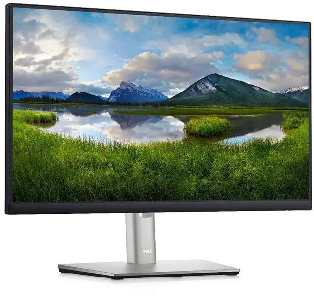 Alt view image 2 of 6 - 22 Monitor - P2222H - Full HD 1080p, IPS Technology