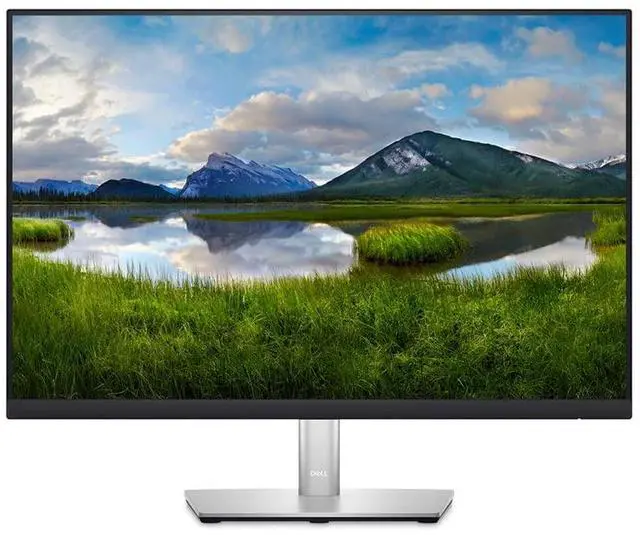 Main image of P2423 24 Inch WUXGA (1920x1200) 16:10 Monitor, 60Hz, IPS, 5ms, 99% sRGB, DisplayPort, HDMI, DVI, VGA, 5x USB