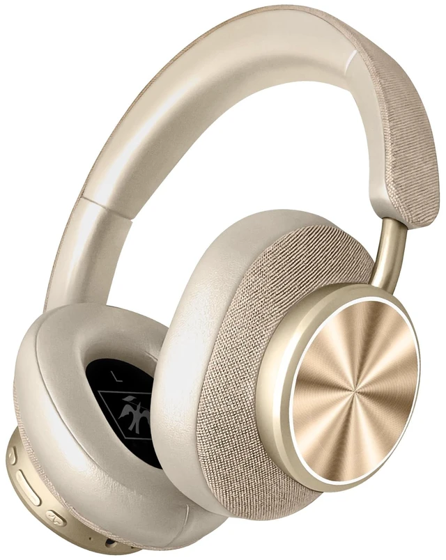 Main image of LEXXON PRO Over Ear Headphones Wireless Bluetooth 5.3 Ultra Soft Comfort Cushion Headset with Mic, 12H Playtime, FM Radio, Micro SD TF Card, Swivel Design, Voice Assistant