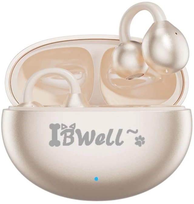 Main image of AI Translation Earphones for Real-time Translation of 140 Languages and Accent Recognition, Noise Cancelling Earphones, Wireless Earphones (Beige)