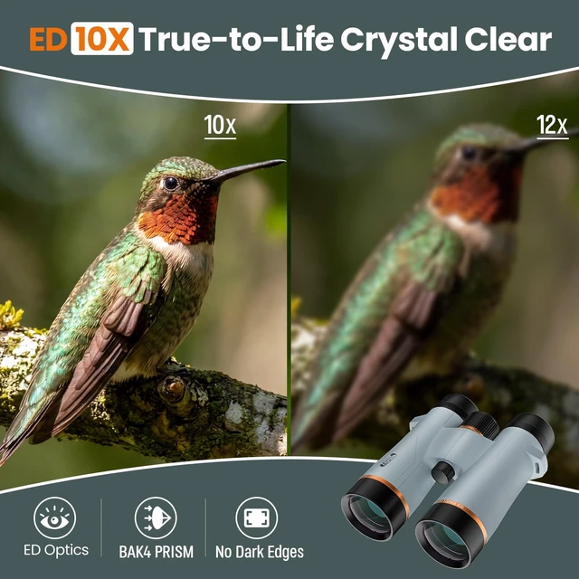 Alt view image 2 of 7 - 10X42 Binoculars for Adults with ED Glass, BAK4 Prism, Waterproof, Fogproof, Low Light Vision & Phone Adapter for Hunting, Bird Watching, Travel, Hiking