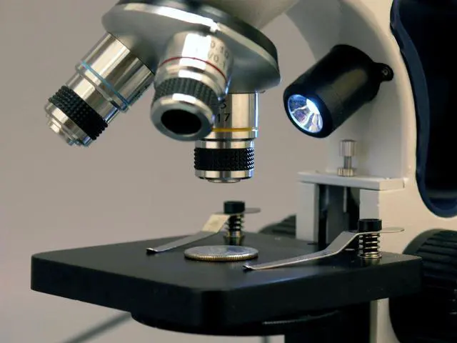 Alt view image 2 of 6 - M158C-2L-E2 Compound Monocular Microscope, WF10x and WF25x | 40X-1000X Magnification Range 2MP CMOS Sensor USB 2.0 Connectivity Compound Biological Microscope Built-In LED