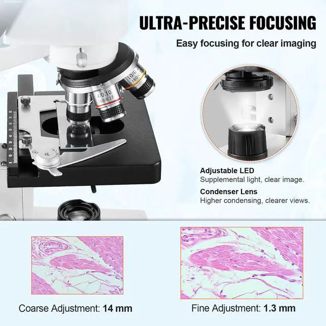 Alt view image 3 of 6 - Compound Trinocular Microscope, 40X-5000X Magnification Trinocular Compound Lab Microscope with Two-Layer Mechanical Stage, LED Illumination, External Interface and Microscope Slides Included
