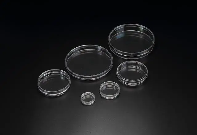 Main image of Cell Culture Dish,150x25mm Lab Cell-Culture Petri Plate Dish for Lab Analysis, School Projects, Blood Samples, Bacteria, Plant & Seed Cultivation, PS