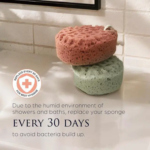 Alt view image 6 of 7 - Spongentle Loofah Sponge for Shower and Bathing, Bath Sponge with Dual Texture, Shower Pouf for Gentle and Deep Exfoliation, Large Size Body Scrubber for Men & Women, PU Foam, 37% More Lather, 2 Pack