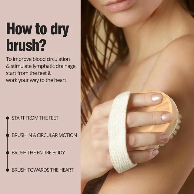 Alt view image 7 of 7 - 2 Pack Dry Brushing Body Brush, Natural and Soft Bristle Shower Brush for Body Cleaning, Exfoliating Bath Brush for Lymphatic Drainage Improve Circulation, Body Exfoliator Scrubber for Women Men