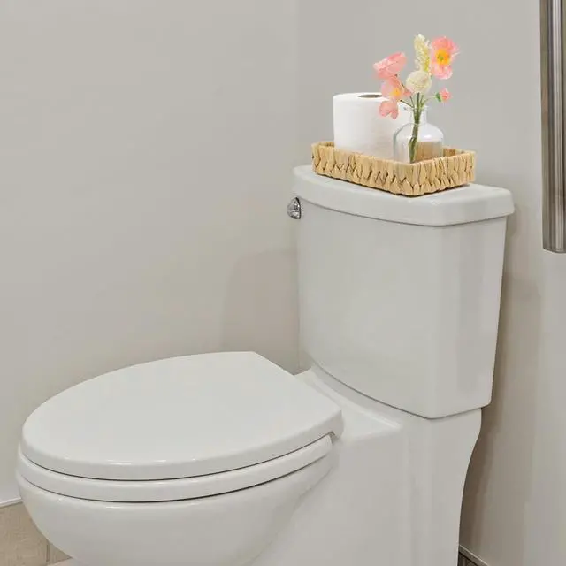 Alt view image 7 of 7 - Water Hyacinth Bathroom Vanity Tray, 10 Inch