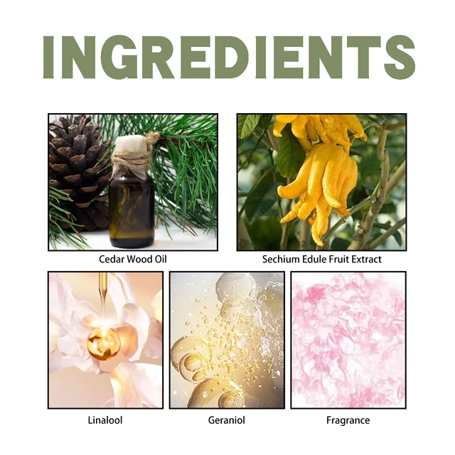 Alt view image 5 of 6 - Cedar Bergamot Perfume Fresh Wooden Fragrance Lasting Fragrance Natural Not Spicy Niche Perfume