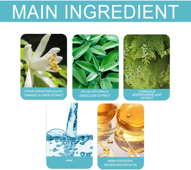 Alt view image 5 of 6 - Charm Perfume Releases Charm Gentle Fresh and Light Fragrance Niche Natural Portable Lasting Perfume