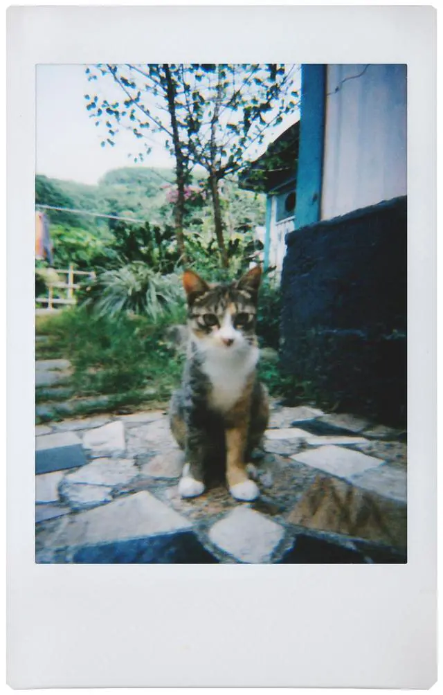Alt view image 7 of 7 - Lomo'Instant Boston Edition Camera