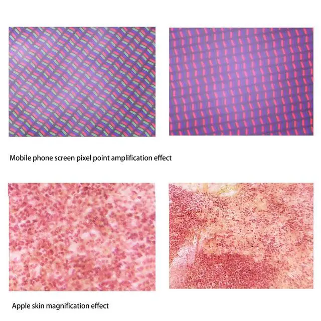 Alt view image 5 of 6 - Skin Analyzer Hair Scalp Detector 800X Magnification Portable USB Microscope with 8pcs Light Chips for Skin and Hair Detection (Black)
