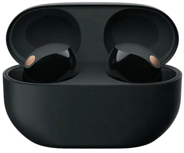 Alt view image 2 of 7 - WF-1000XM5 Truly Wireless Noise-Canceling Earbuds (Black) Bundle | Noise-canceling Accessory, Best Noise Cancellation, Multi Noise Sensor technology, (2 items)