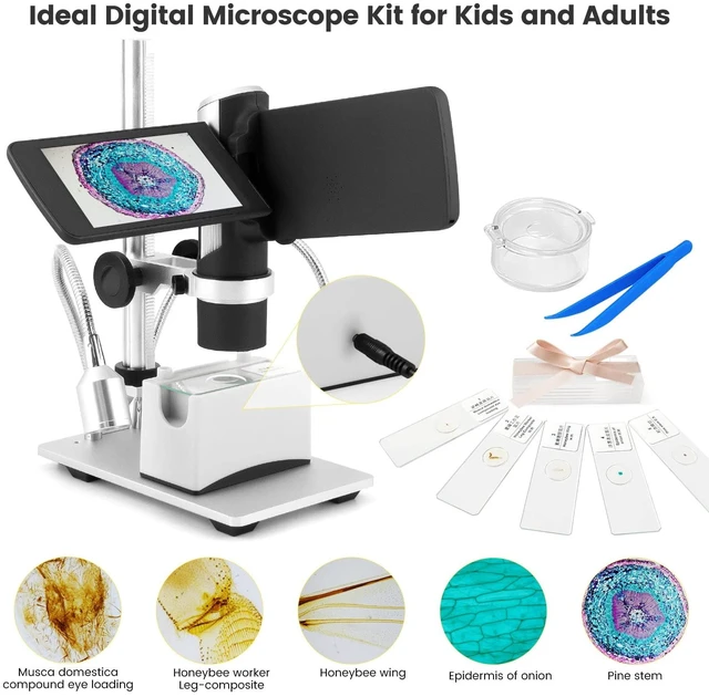 Alt view image 5 of 7 - AD203 Digital Coin Microscope for Error Coins with Metal Stand 4.3 Inch Screen, FHD Video, Supports Windows Mac PC, USB Coin Microscope, 32GB SD Card, Metal Stands, Prepared Slides