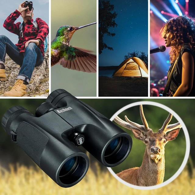 Alt view image 3 of 7 - PowerView 10x42 Compact Roof Prism Binoculars, Black Compact & Foldable Design, Non-Slip Rubber Armor, Fully-Coated Optics, Smooth Center Focus Knob