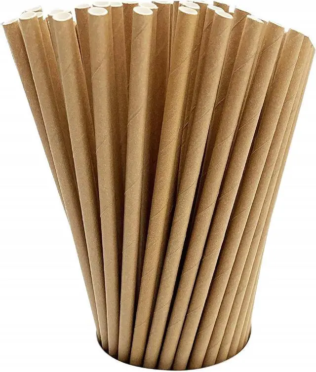 Main image of GDMINLO 100 Pack Kraft Paper Straws Biodegradable co-Friendly Drinking Bulk for Party Supplies, Bridal/Baby Shower, Birthday, Mixed Drinks, Weddings, Restaurant, Food Service