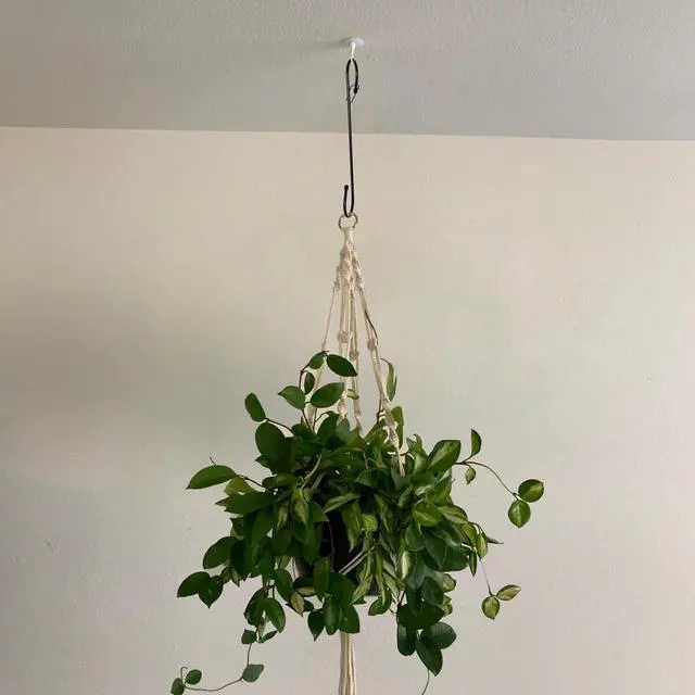 Alt view image 7 of 7 - 6Pcs S Hooks Hanging 12 inch Heavy Duty Large S Hooks with Safety Buckle, Long S Hook for Hanging Plant, Utility Hooks, Long Heavy Duty Hanging Hooks for Kitchen, Bathroom, Garden, Indoor, Outdoor