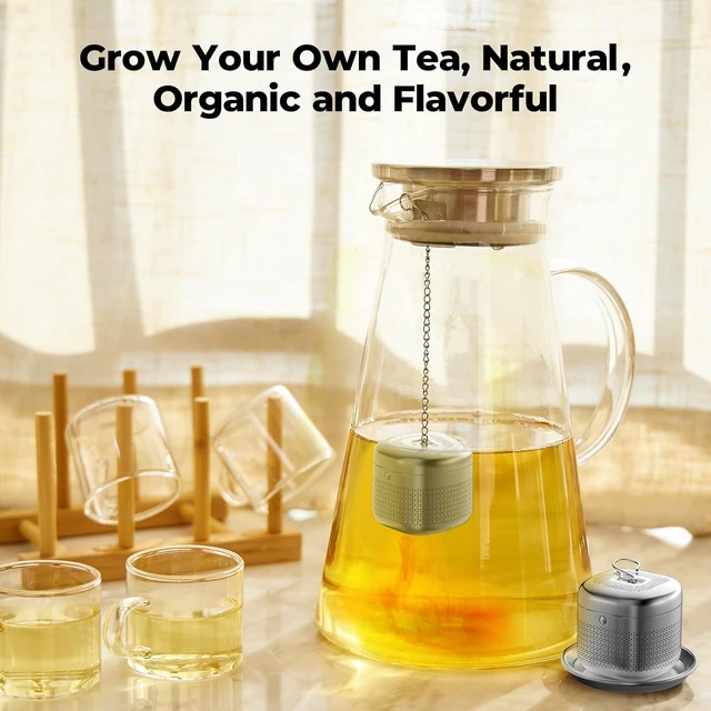Alt view image 6 of 7 - Reinmoson 304 Stainless Steel Tea Infuser for Loose Leaf Tea
