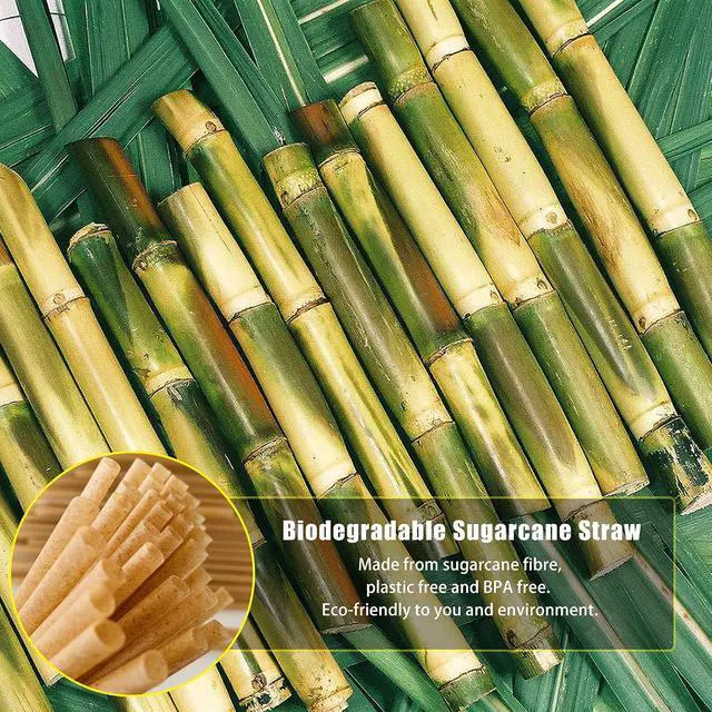 Alt view image 3 of 7 - 100pcs Sugarcane Straws, 8 Inch Sturdy Biodegradable Plastic Free Eco-Friendly Compostable Smoothie Drinking Straws for Home Restaurant Beach Parties Not Foggy