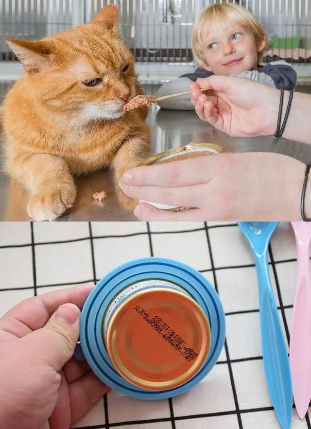 Alt view image 6 of 7 - Comtim Pet Food Can Cover Silicone Can Lids for Dog and Cat Food(Universal Size,One fit 3 Standard Size Food Cans),Blue and Green