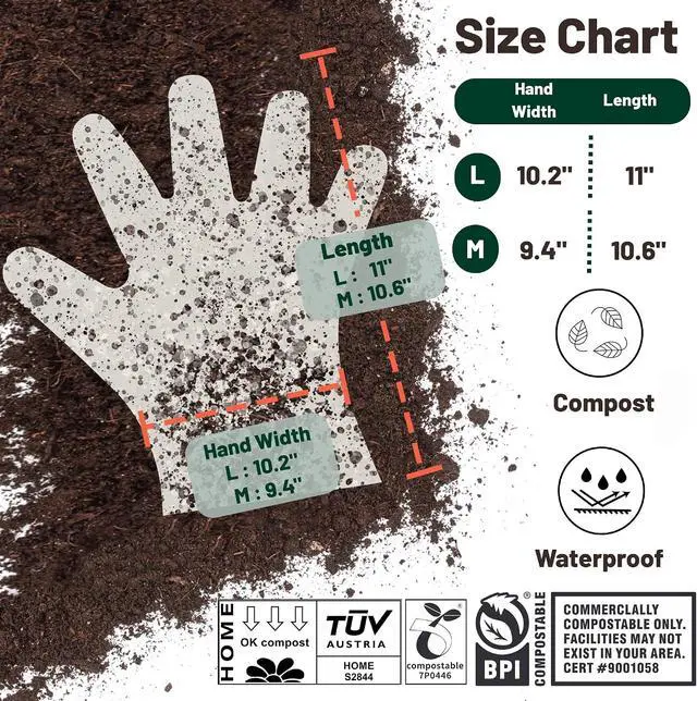Alt view image 2 of 7 - Compostable Disposable Gloves for Food Pre with US BPI ASTM D6400 and Europe OK Compost Home Certified 100 Couts