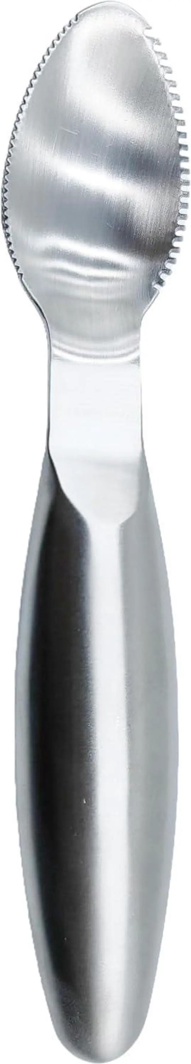 Main image of Stainless Steel Grapefruit Spoons with Serrated Edge Serrated Spoon Pumpkin Scraper Pumpkin Core Remover Scoop