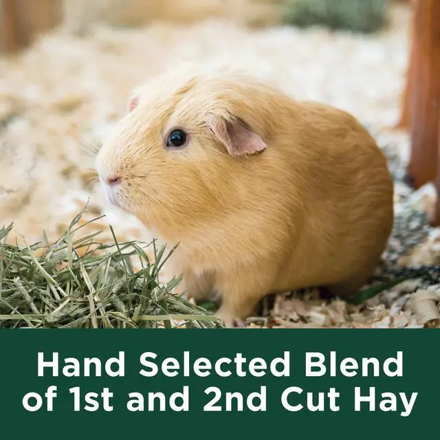Alt view image 5 of 5 - Kaytee Forti-Diet All Natural Timothy Hay for Rabbits, Guinea Pigs, Hamsters, Chinchillas and Other Small Animals, 48 ounce