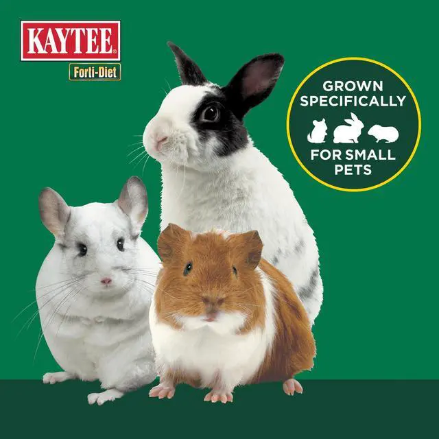 Alt view image 4 of 5 - Kaytee Forti-Diet All Natural Timothy Hay for Rabbits, Guinea Pigs, Hamsters, Chinchillas and Other Small Animals, 48 ounce
