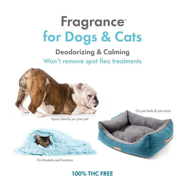 Alt view image 2 of 4 - Petkin Vanilla Fragrance with Hemp Oil for Dogs and Cats, 8 fl oz