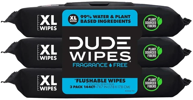 Main image of DUDE Wipes Unscented Adult Flushable Wet Wipes, Sensitive Skin, 144 Count
