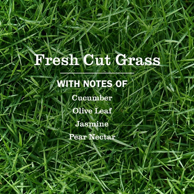 Alt view image 4 of 6 - Mrs. Meyer's Clean Day Multi-Surface Cleaner, Fresh Cut Grass, 16fl oz