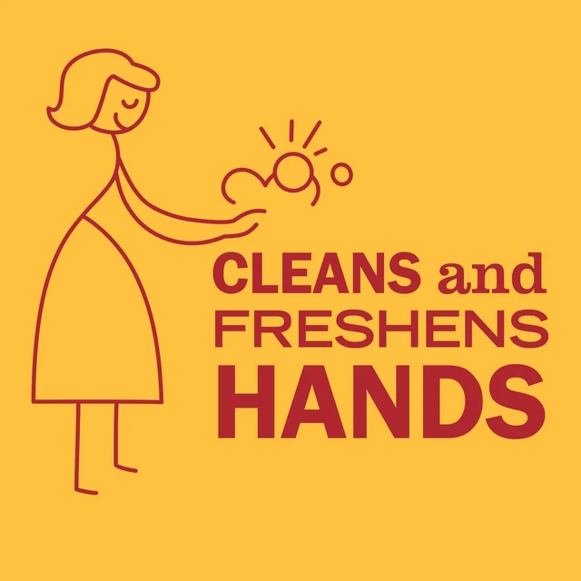 Alt view image 4 of 5 - MRS. MEYER'S CLEAN DAY 12.5Fl Oz, Pack of 2, Hand Soap, Clementine Scent
