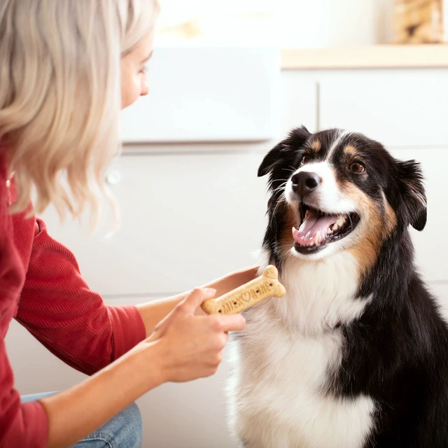 Alt view image 3 of 7 - Milk-Bone Original Dog Treats Biscuits for Large Dogs (Packaging May Vary), 24 Ounces (Pack of 2)