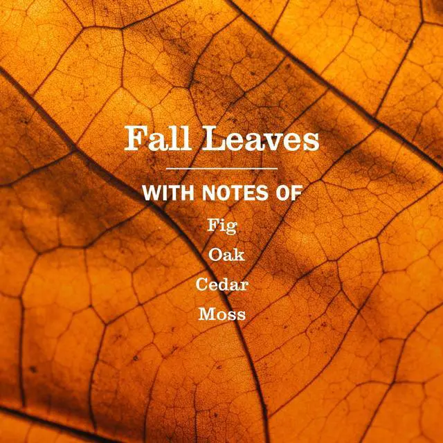 Alt view image 5 of 6 - Mrs. Meyers Clean Day Hand Soap, Fall Leaves Scent, 12.5 Fl Oz