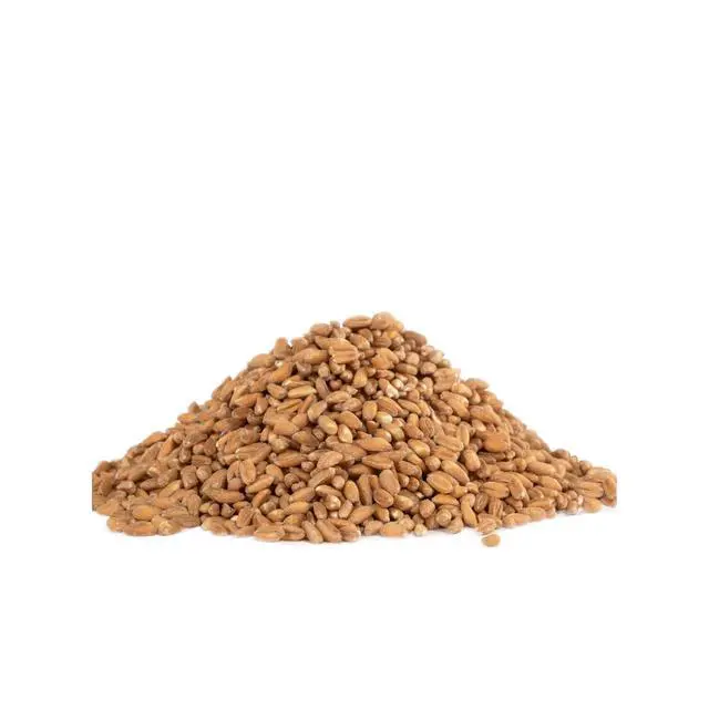 Alt view image 5 of 7 - Bob's Red Mill Organic Farro Grain 24 oz