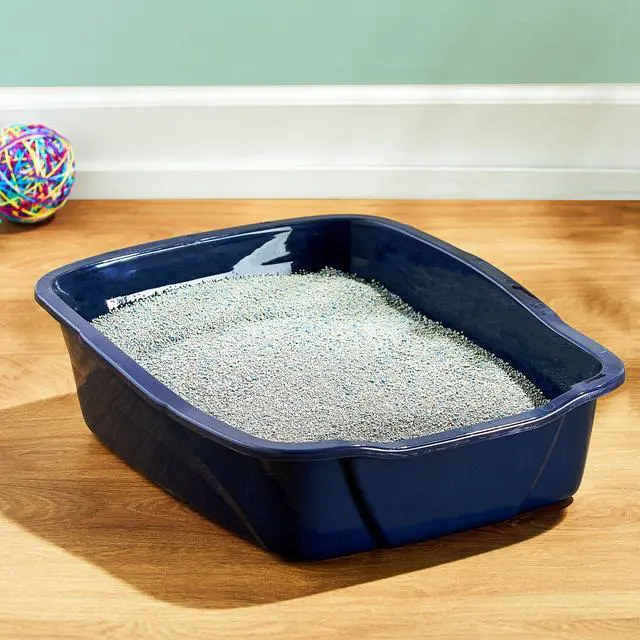 Alt view image 4 of 6 - Vibrant Life Large Open Cat Litter Box, Blue