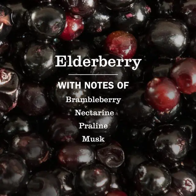 Alt view image 5 of 7 - Mrs. MEYER'S CLEAN DAY Hand Soap, Elderberry Scent, 12.5 Fl Oz Bottle