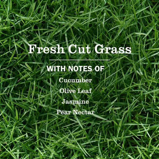 Alt view image 5 of 6 - MRS. MEYER'S CLEAN DAY Hand Soap, Fresh Cut Grass Scent, 12.5 Fl Oz Bottle