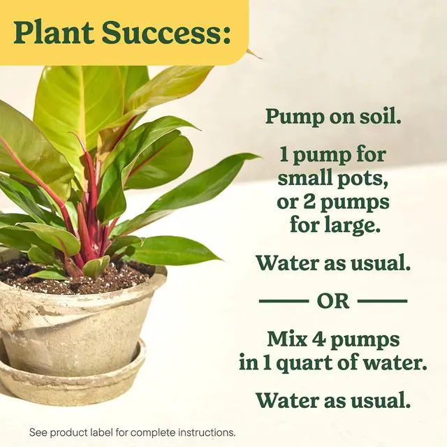 Alt view image 5 of 6 - Miracle-Gro Indoor Plant Food for All Plants, Liquid Food, 8 fl. oz