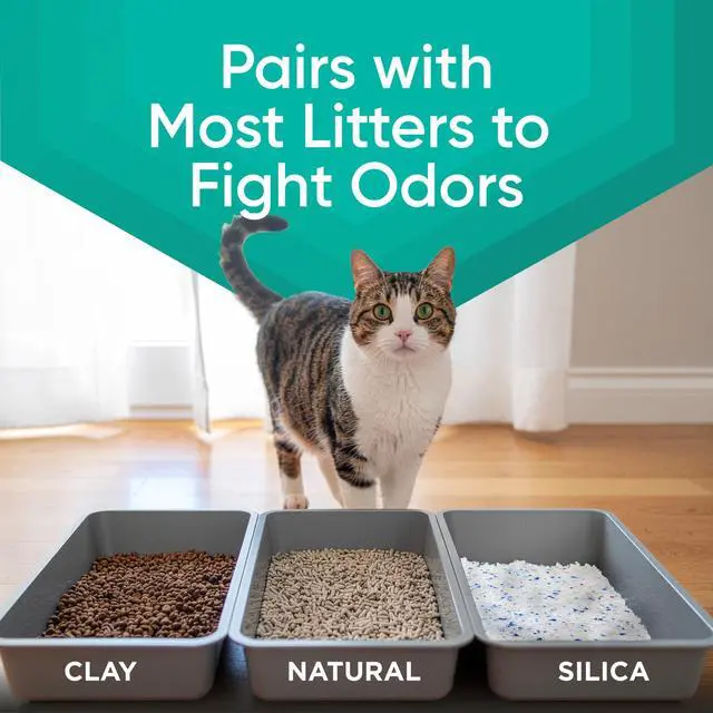 Alt view image 4 of 6 - ARM & HAMMER Cat Sense Odor Control Cat-Approved Litter Deodorizer, 24 oz